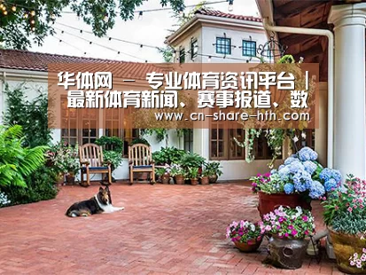 客户案例标题九