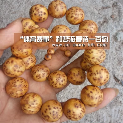“体育赛事”和梦游春诗一百韵(图4) 体育新闻