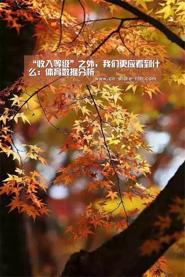 “收入等级”之外,我们更应看到什么:体育数据分析(图1) 赛事直播