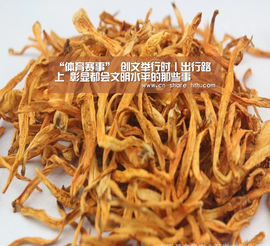 “体育赛事”
创文举行时丨出行路上 彰显都会文明水平的那些事(图1) 体育社区